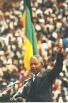 Nelson Mandela, biogrpahie, Afrique du Sud